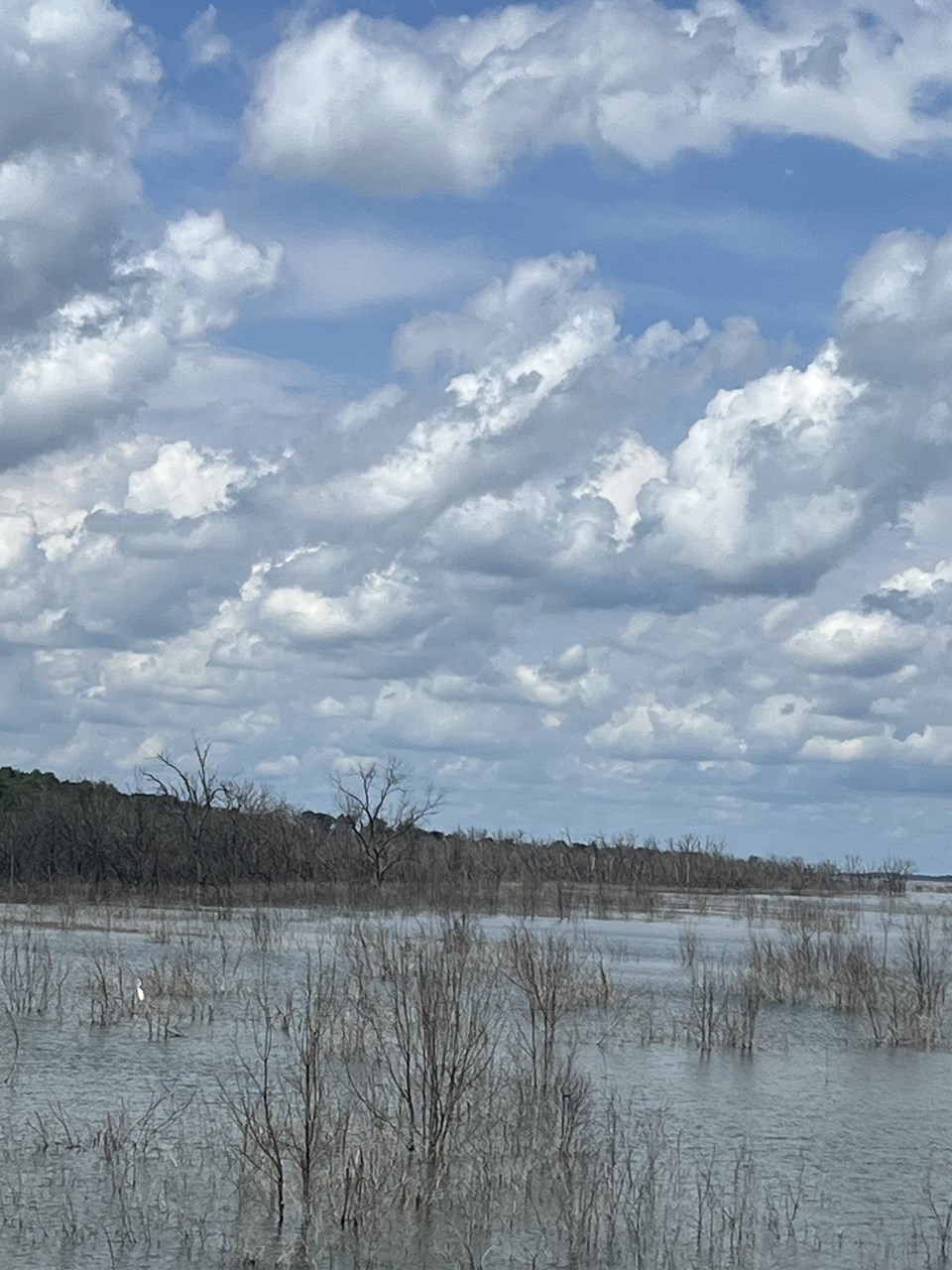 lake just west