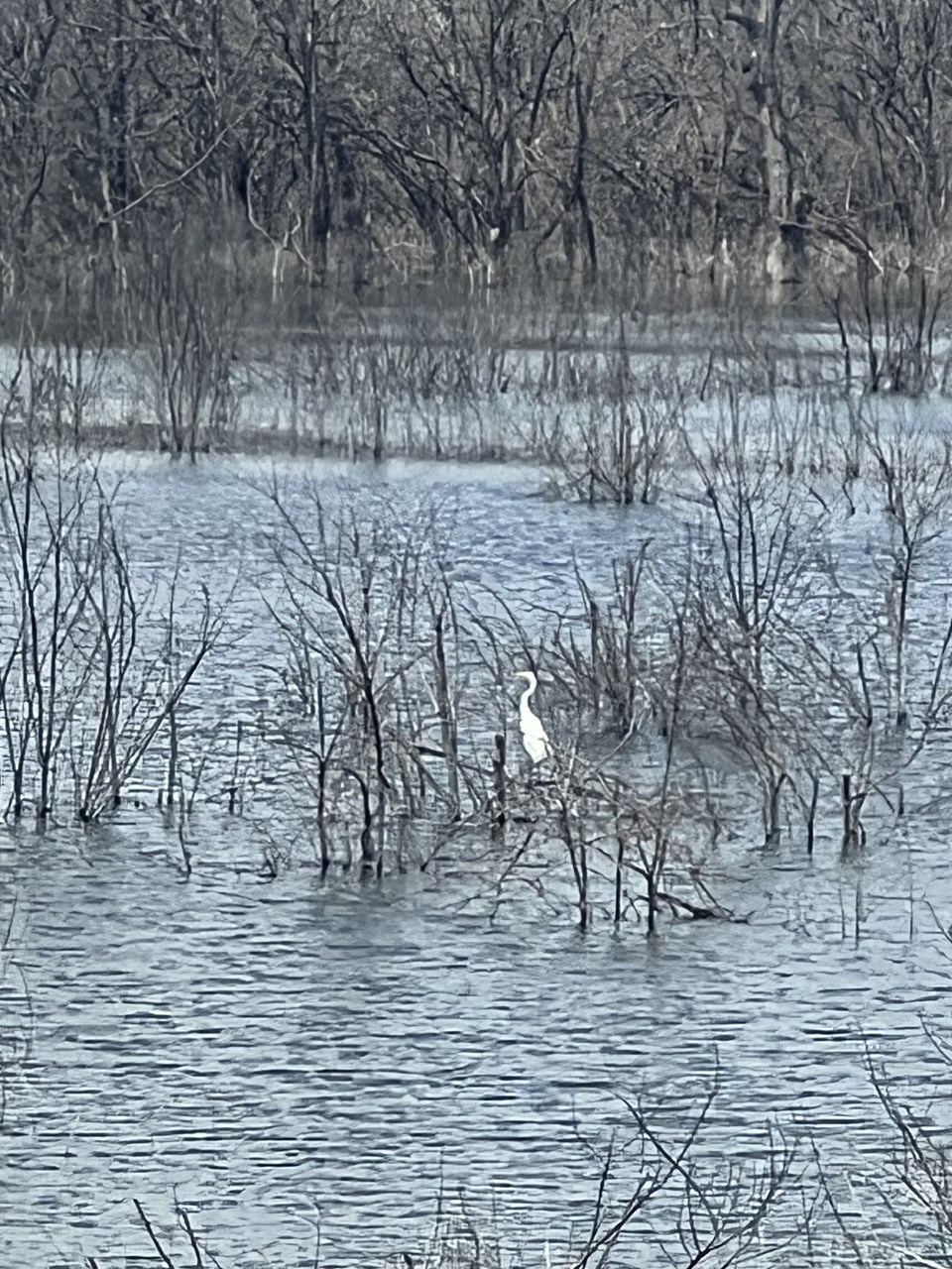 lake just west